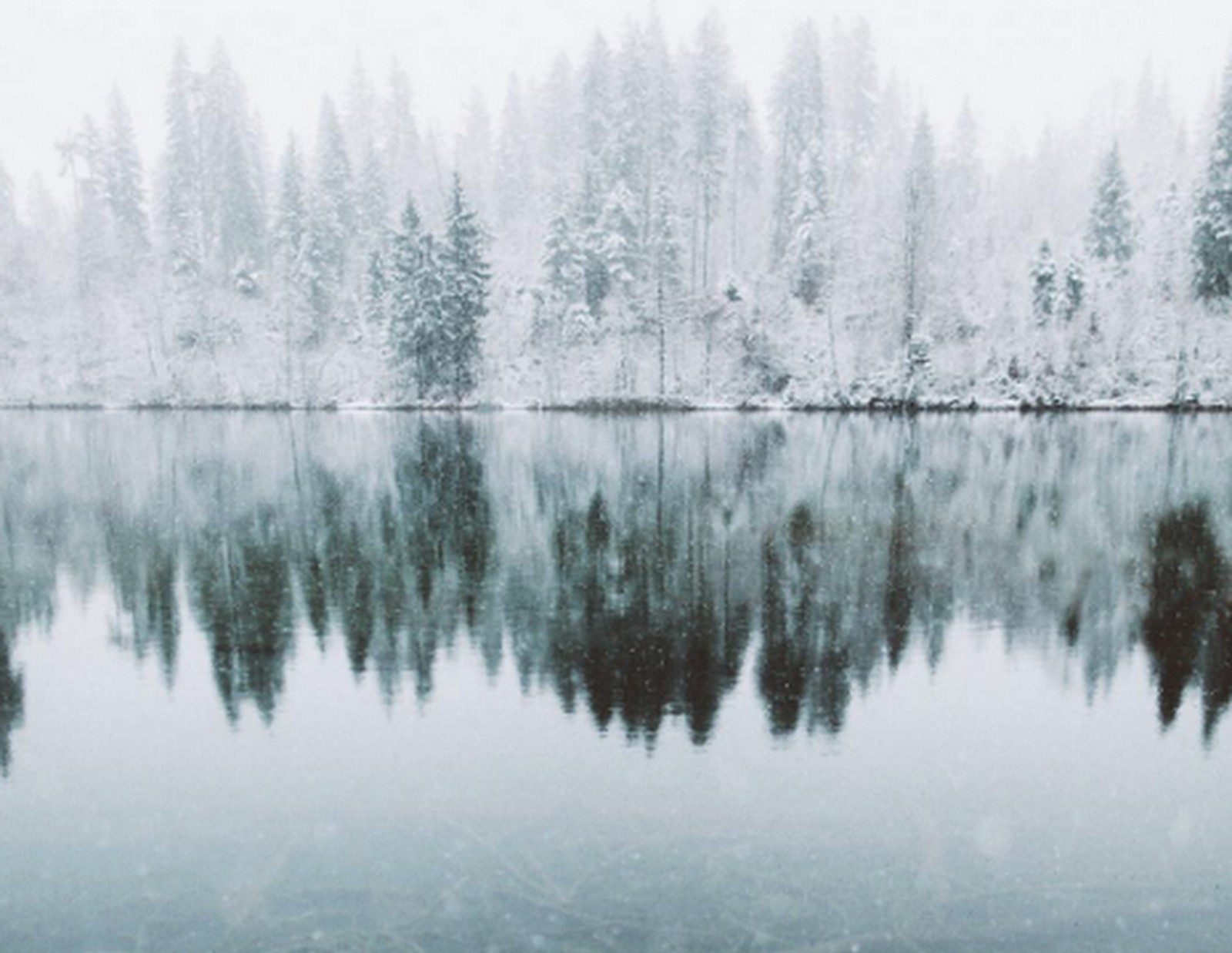 Winter Inspiration :: A Christmas Palate Cleanser