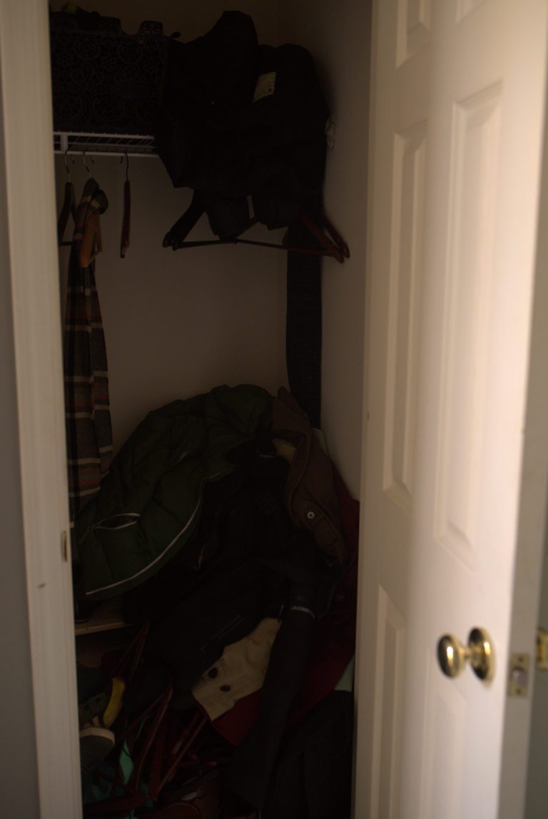 A CLOSET MAKEOVER & All You NEED is $100 & a Weekend!
