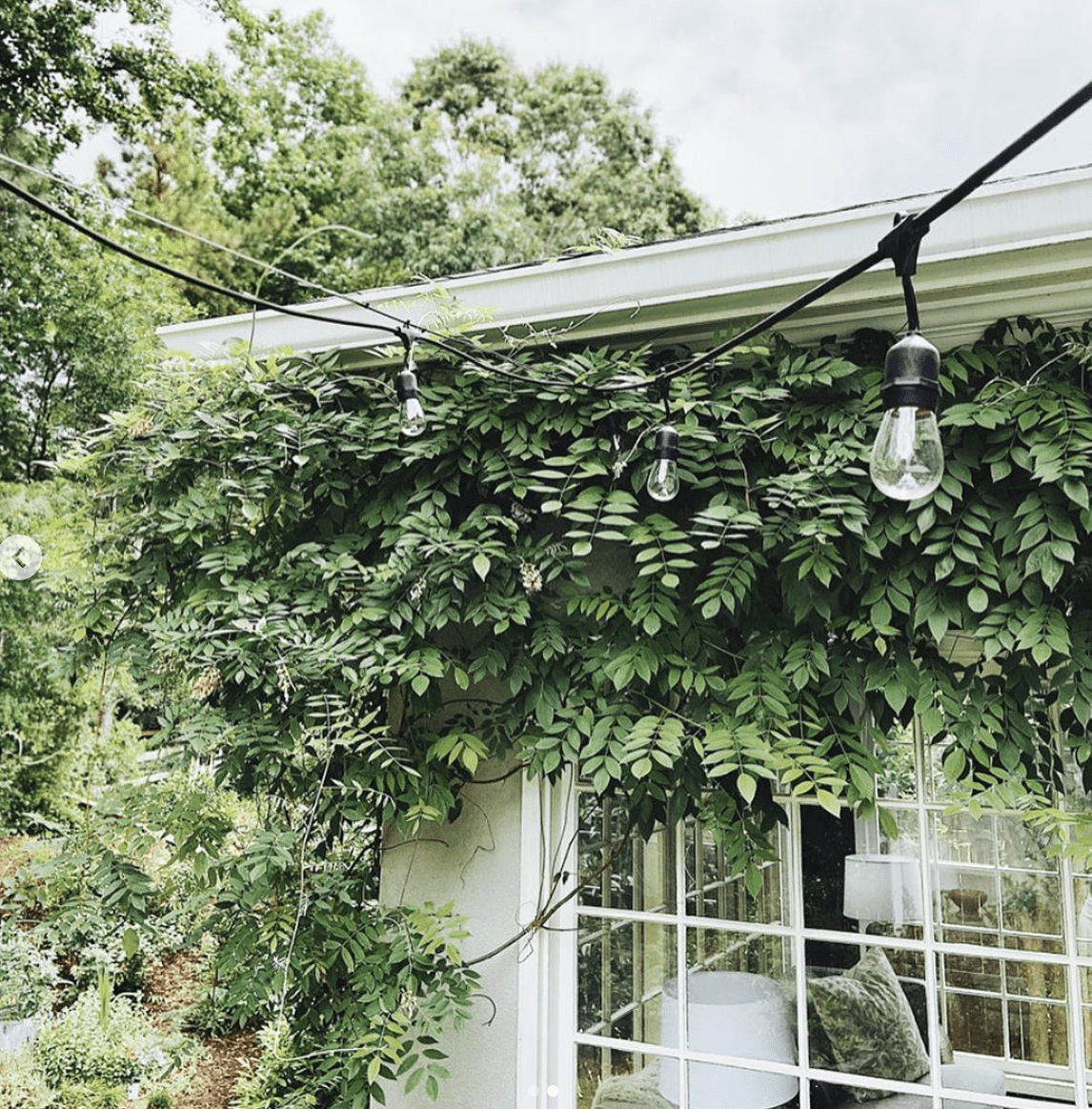 GARDEN STYLE HACK: How to Hang Outdoor Lighting
