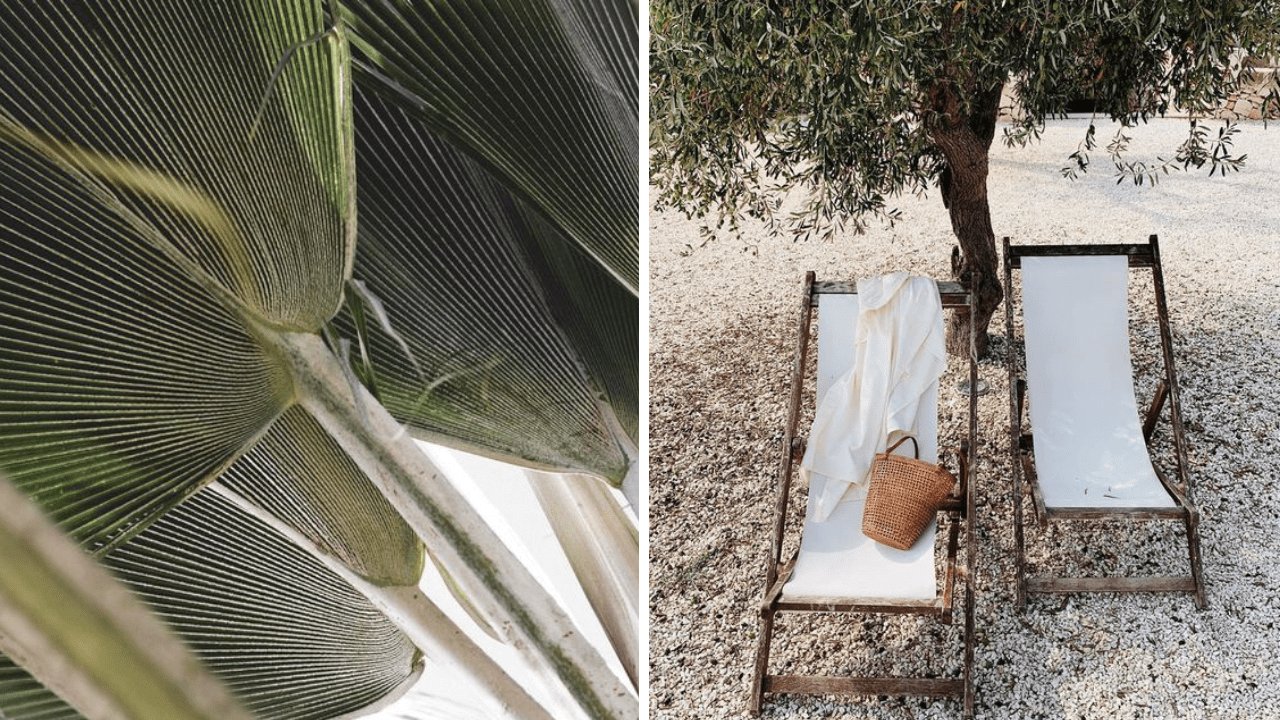 7 Scents to Make Your Home Smell Like SUMMER!
