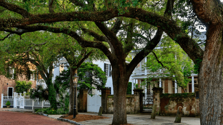 Our City Guide to Charleston SC