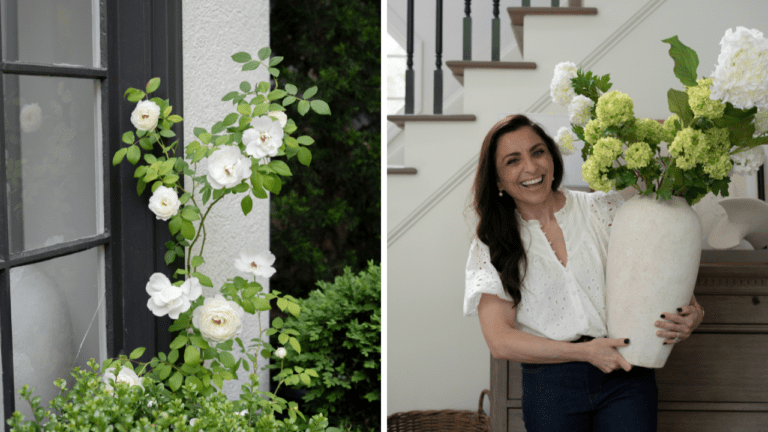 Musings of the Spring Home